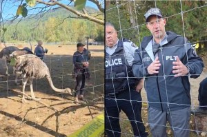 RCMP are on scene at Universal Ostrich Farm in Edgewood Tuesday, Sept. 23 speaking with owners.