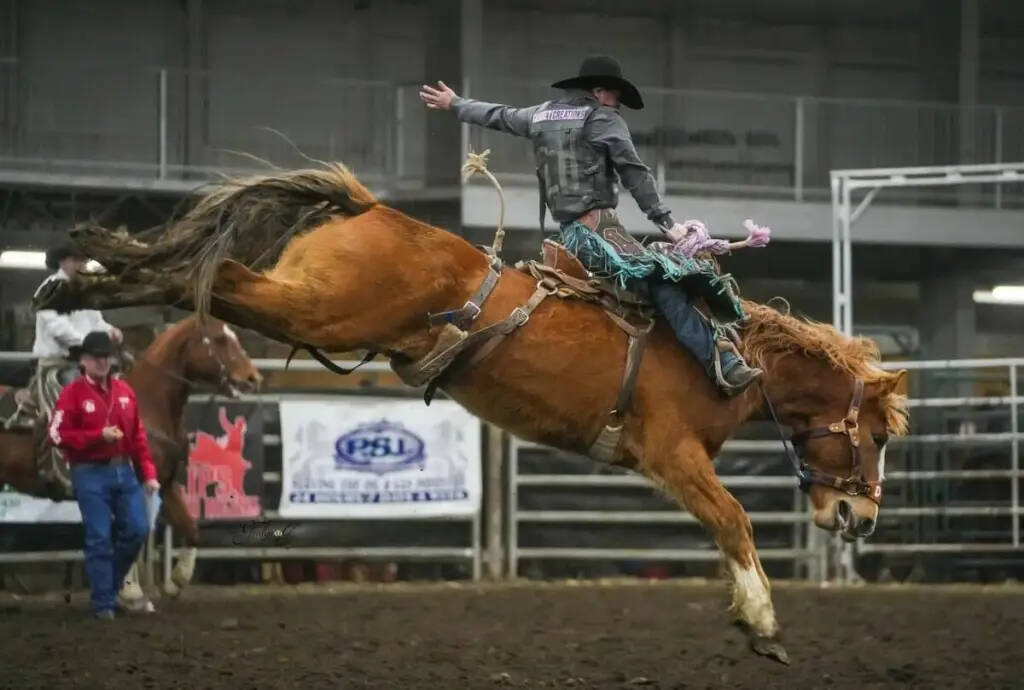 A shot from last year&rsquo;s West of the 5th Pro Rodeo in Rimbey. This year&rsquo;s event runs March 20-21.at the Rimbey Agrim Centre. (Photo by Gralyn Boyd/Gralyn J. Photography)